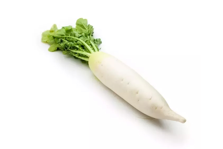 WHITE RADISH 1 PCS